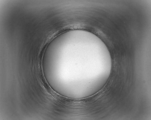 X0000062140202200512091026