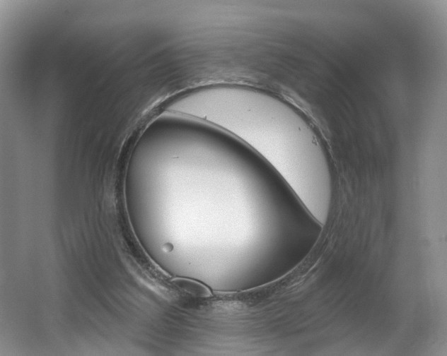 X0000062140203200512091026