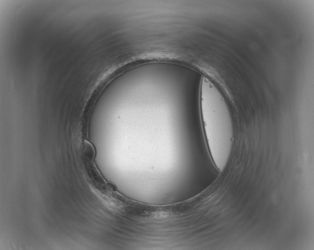 X0000062140204200512091025