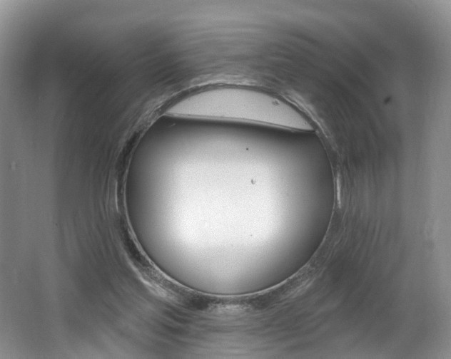 X0000062140205200512091025