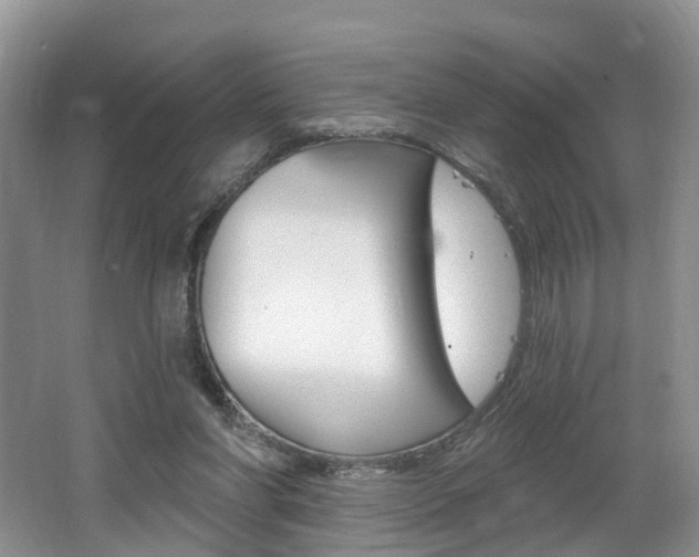 X0000062140206200512091025