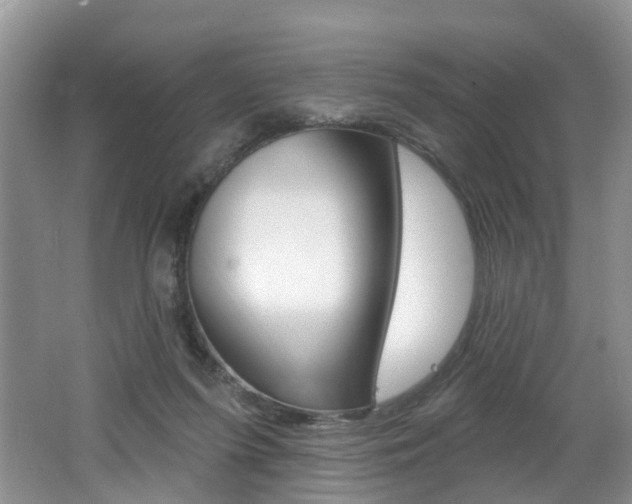 X0000062140215200512091025