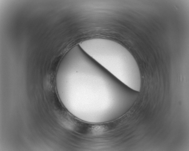 X0000062140218200512091025