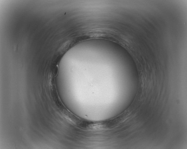 X0000062140219200512091025