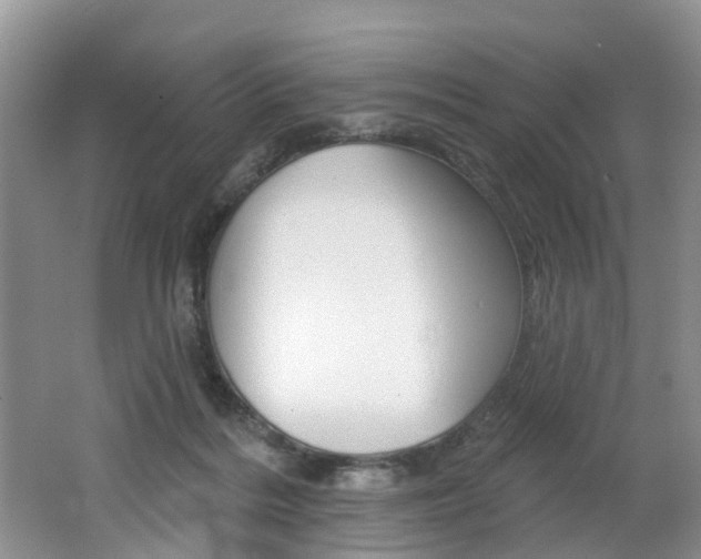 X0000062140220200512091025