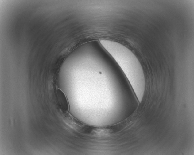 X0000062140221200512091025