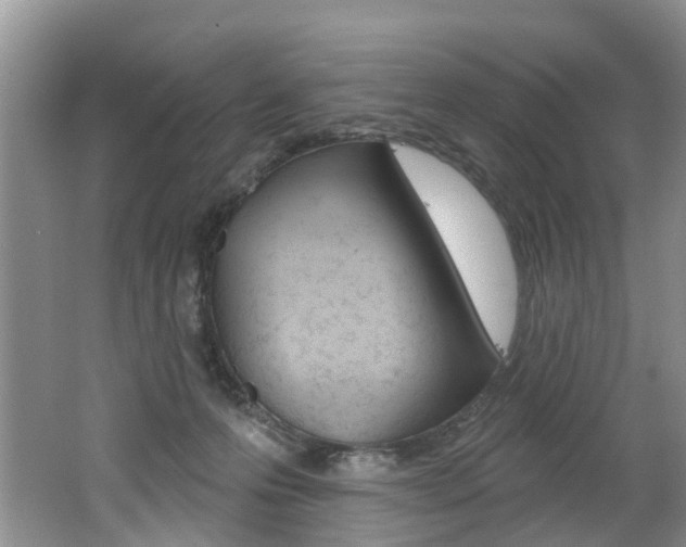 X0000062140223200512091025