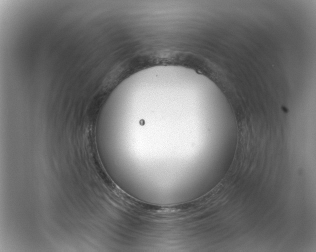 X0000062140225200512091025