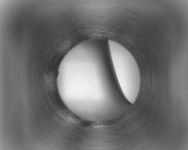 X0000062140228200512091025