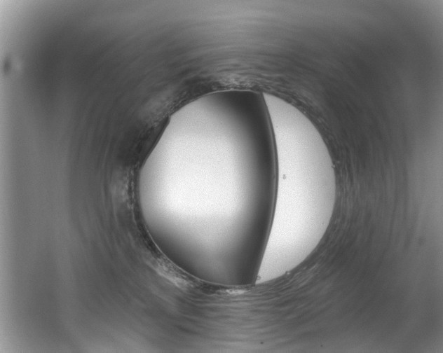 X0000062140233200512091025