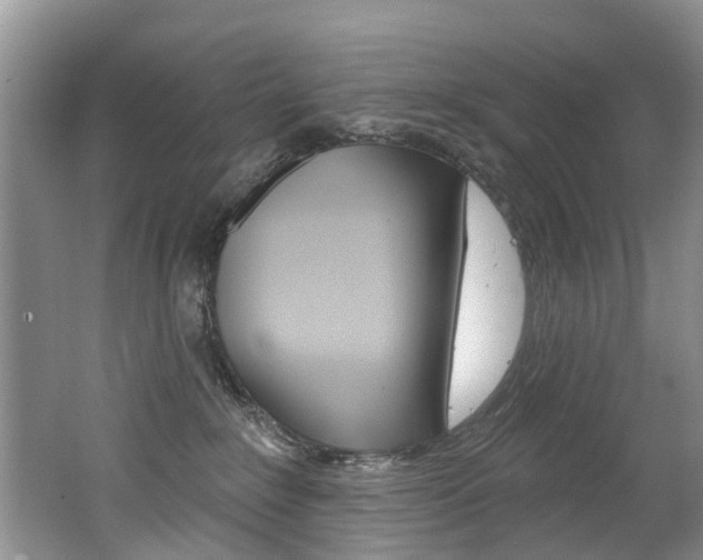 X0000062140235200512091025