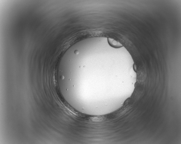 X0000062140238200512091025