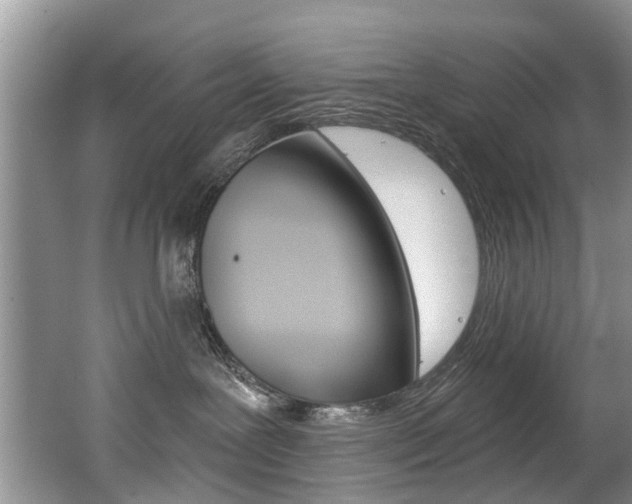 X0000062140239200512091025