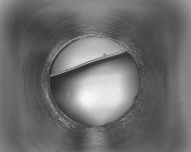 X0000062140241200512091024