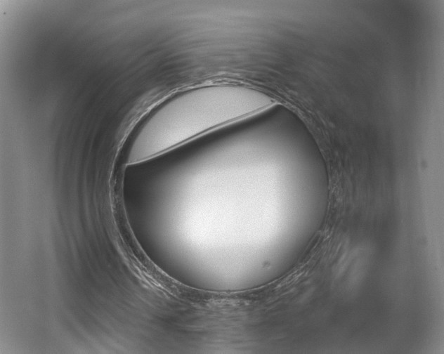 X0000062140242200512091024