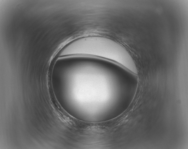 X0000062140244200512091024