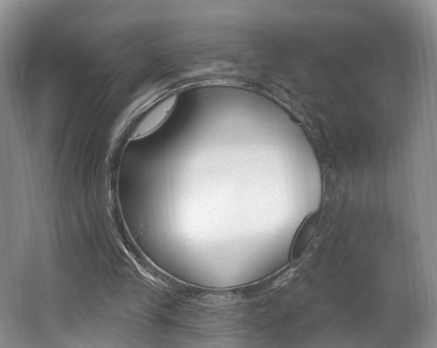 X0000062140245200512091024