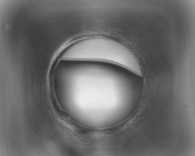 X0000062140246200512091024