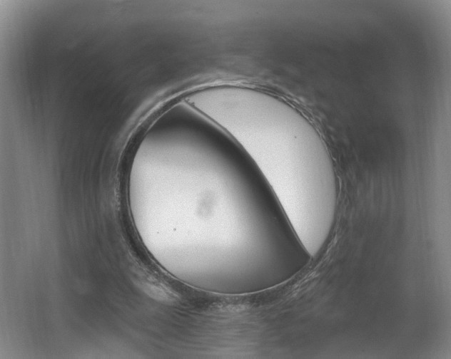 X0000062140247200512091024