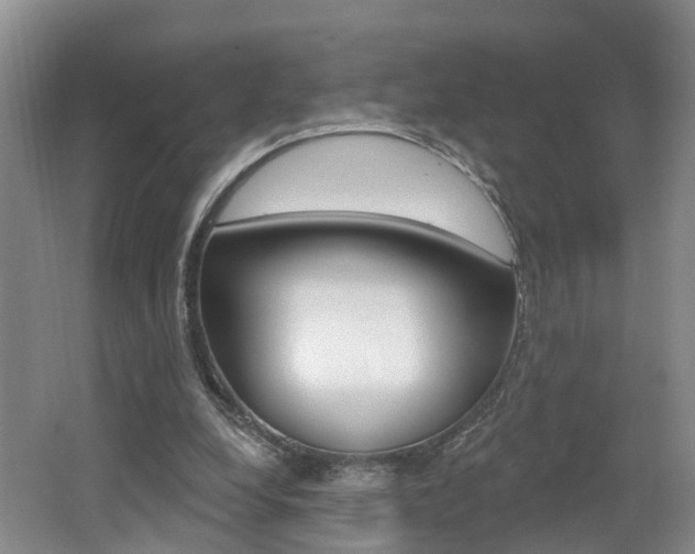 X0000062140248200512091024