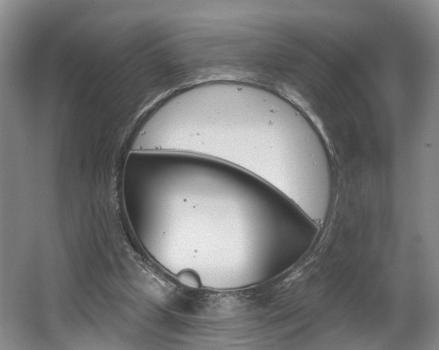 X0000062140249200512091024