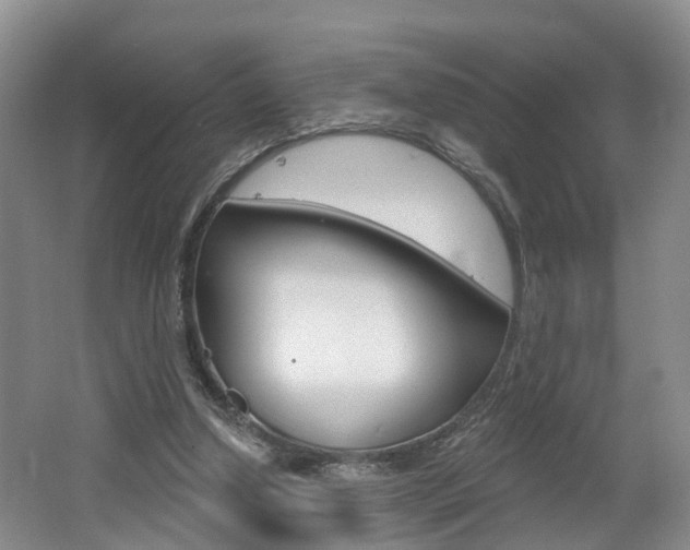 X0000062140250200512091024