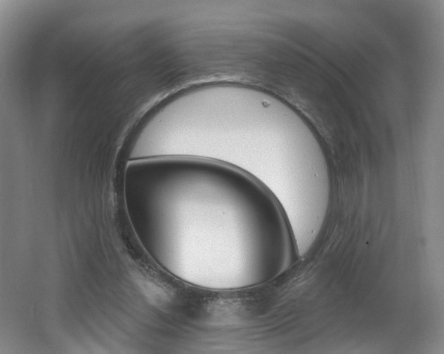 X0000062140252200512091024