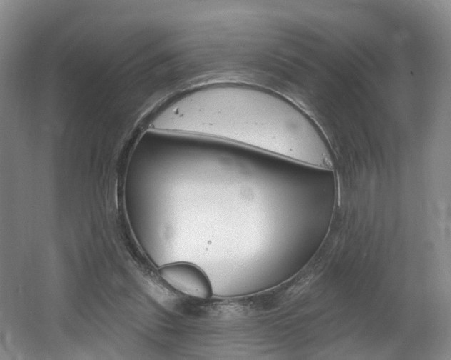 X0000062140253200512091024