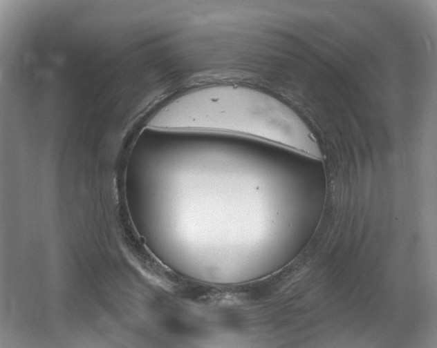 X0000062140254200512091024