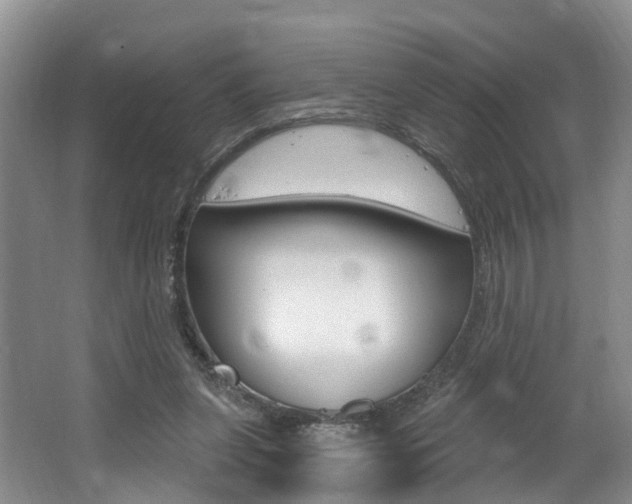 X0000062140255200512091024