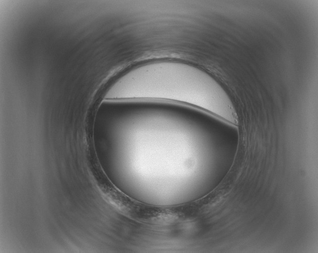 X0000062140256200512091024