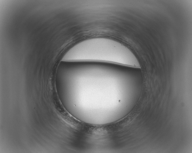 X0000062140258200512091024