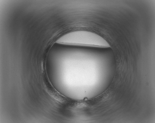 X0000062140262200512091024