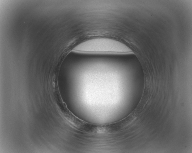 X0000062140264200512091024