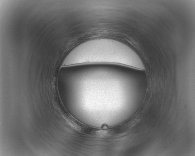 X0000062140265200512091024