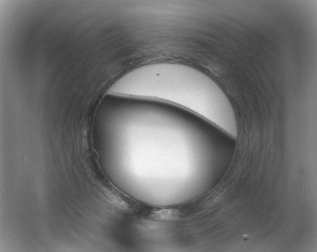 X0000062140269200512091025