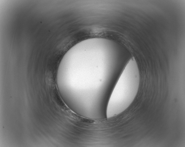 X0000062140270200512091025