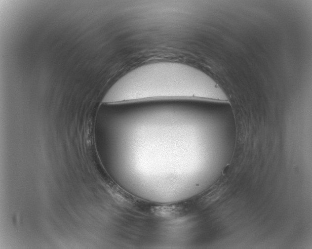 X0000062140273200512091025