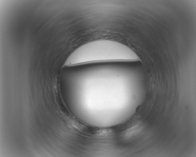 X0000062140274200512091025