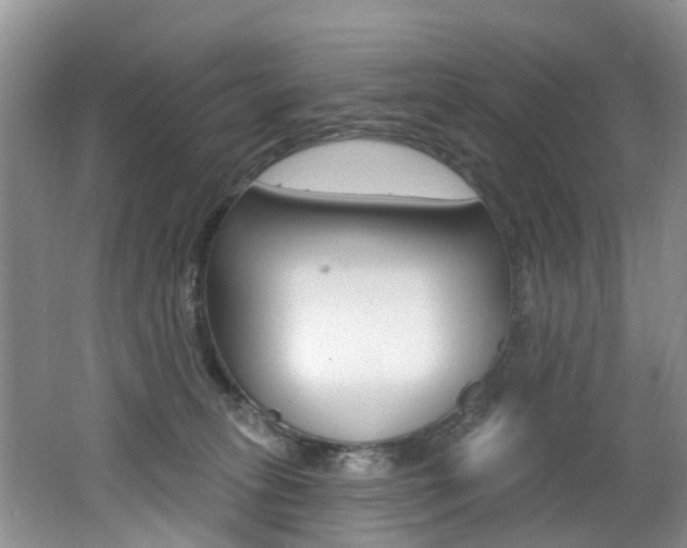 X0000062140275200512091025