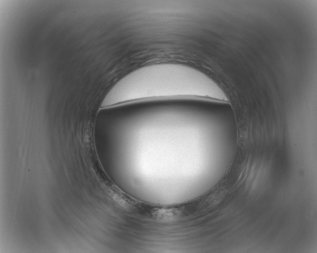 X0000062140277200512091025