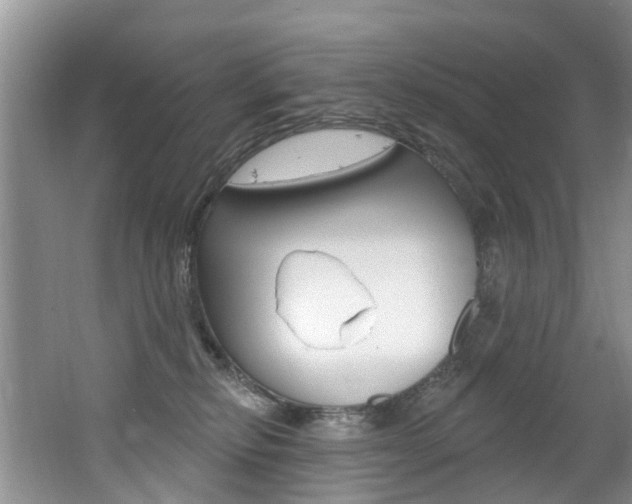 X0000062140278200512091025