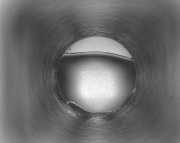 X0000062140280200512091025