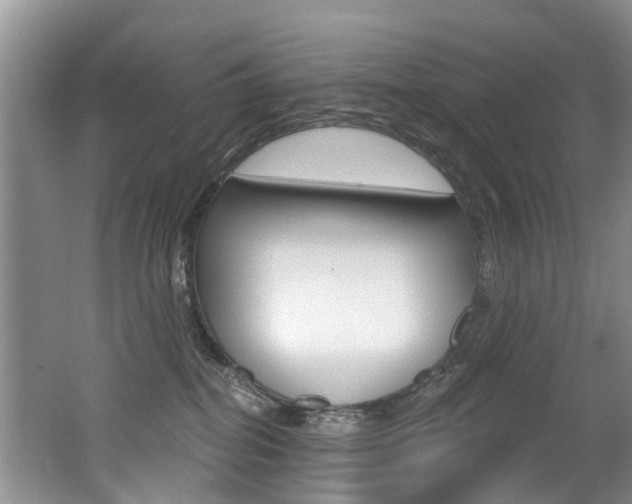 X0000062140282200512091025