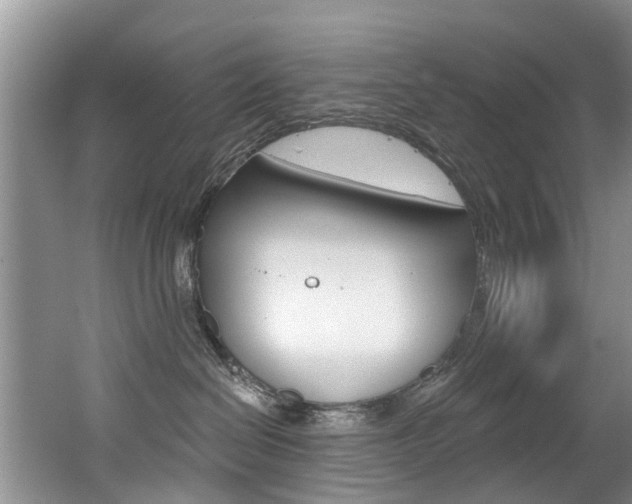 X0000062140286200512091025