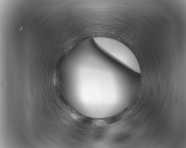 X0000062140287200512091025