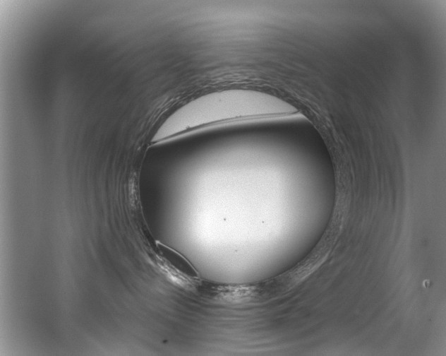 X0000062140288200512091025