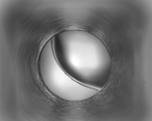 X0000062140289200512091024