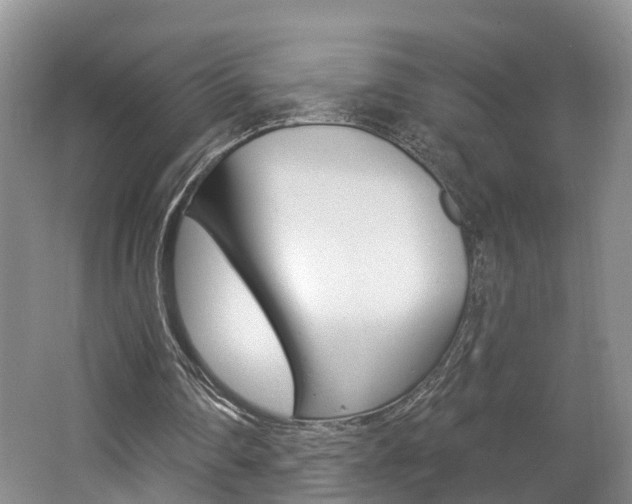 X0000062140290200512091024