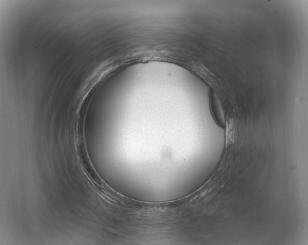 X0000062140291200512091024